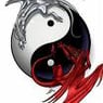 DarkDragon14