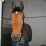 clohe2