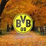 bvbler1956de