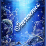 sternvenus