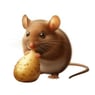 Sternentaler