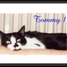 Tommy1