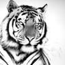 WithTiger