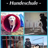 Huehnchen