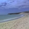 Sumsebrumser