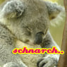 schnarchkaggler