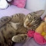 Xclaudia2004