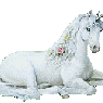 Einhorn71