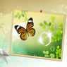 lissy1234