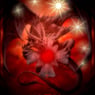 cruordraco