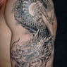 Drache51
