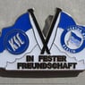 niesatz1
