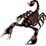 dorrsi