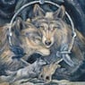 donner182003