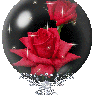 Rosen40de