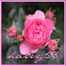 harry56