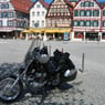 viragomaus
