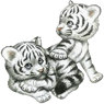 ninnimaus