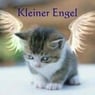 Engel242009