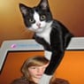jackycat