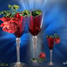 rosebonbon