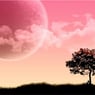PinkSky