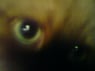 isabell5780