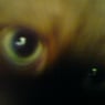 isabell5780