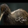 xxkiwixx