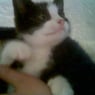 purzelchen78