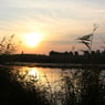 Holzkopf