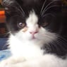 bianca200276
