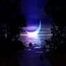 Moonlight67