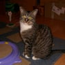tinka0109