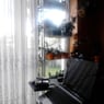 whitchi