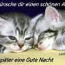 silke0064
