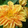 IchBinEs1978