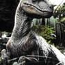 Raptor001