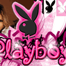 bunny1177