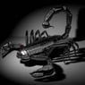 darkraudi