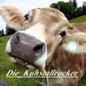 Waldelfe2009