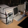 Dummbrot82