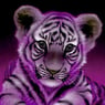 tigerkatze85