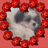 susy007