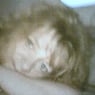 foxes08234