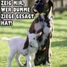 Franzi0710