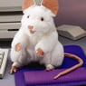 speckmau1958