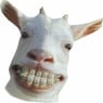 Leefke
