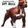PitbullMD