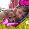 chipserl